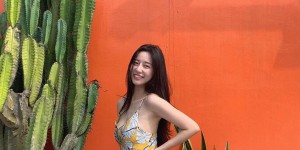 <?php the_title(); ?>