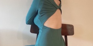 <?php the_title(); ?>