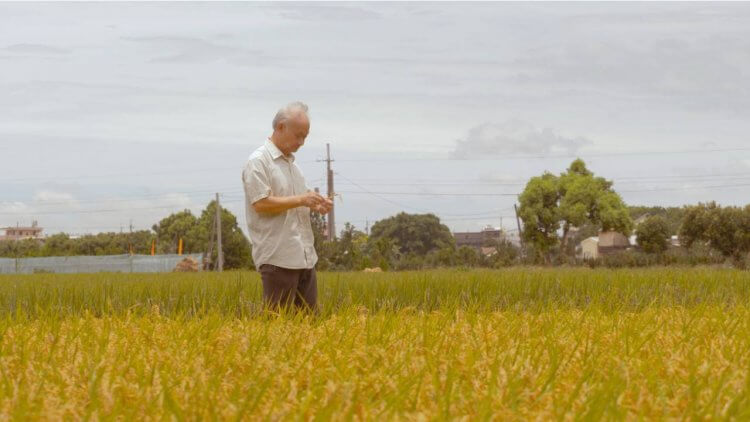 生命中甜蜜的負荷 :《他還年輕》農村詩人，散文家吳晟紀錄片電影 9 月上映