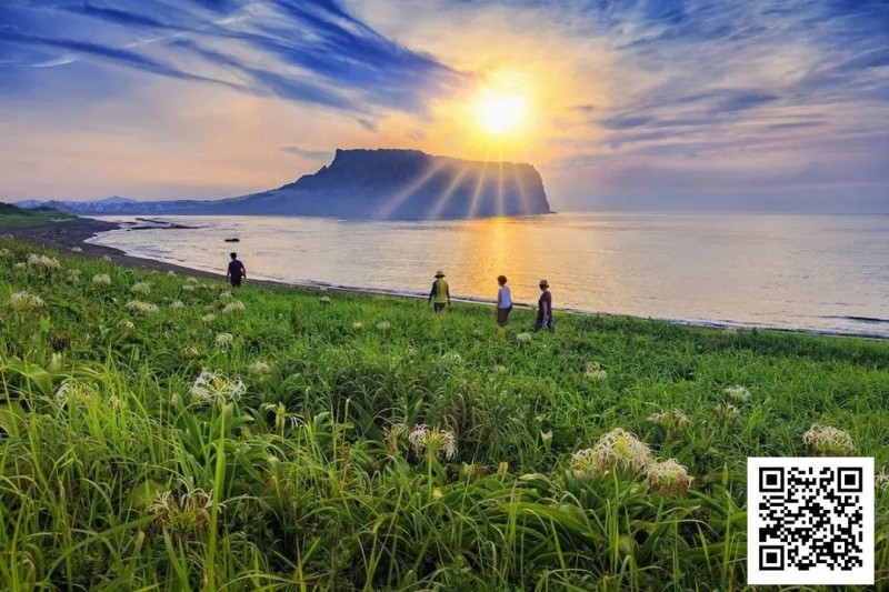 【EV扑克】别Till,来Jeju Chill——必去景点+路线打包+管家制定